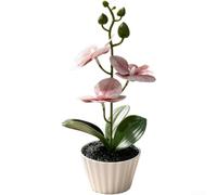 Orchidea artificiale Phalaenopsis nera sabbia vaso bonsai falso | Petali realistici in gomma morbida, a bassa manutenzione, fiore finto per casa, ufficio, scrivania, mensola, decorazione