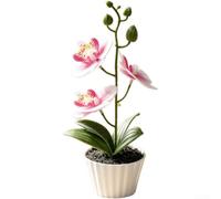Orchidea artificiale Phalaenopsis nera sabbia vaso bonsai falso | Petali realistici in gomma morbida, a bassa manutenzione, fiori finti per casa, ufficio, scrivania, mensola, decorazione