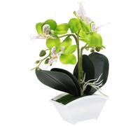 Orchidea Artificiale Piantine Artificiali Piccola Pianta Finta Piante