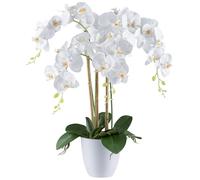 Orchidea Artificiale Real Touch H. 62Cm Bianca In Vaso Di Melamina Bianca Gasper