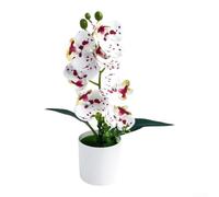 Orchidea artificiale realistica Phalaenopsis 7 teste vaso di plastica (macchia rossa)