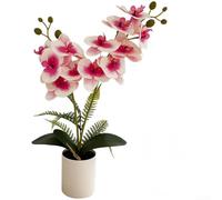 Orchidea artificiale realistica Phalaenopsis in vaso cilindrico di sabbia nera con petali di colla morbida, per casa, ufficio, soggiorno, camera da letto, decorazione, non richiede irrigazione