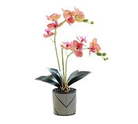 Orchidea Artificiale Viola a Due Punte con 12 Petali in Vaso Fiore Decorativo Phalaenopsis Bianco Finta Orchidea Arancione Realistica Decorazione a Farfalla Bianca Simulata in Vaso (striped pink)