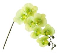 Orchidea di seta, Phalaenopsis a 7 teste, Stelo del fiore artificiale, Petali di seta realistici, Dettagli vena in rilievo, Decorazioni per la casa di nozze fotografia Puntelli()