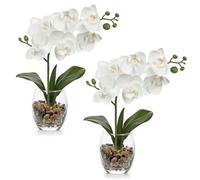 Orchidea finta in vaso di vetro, 30 cm, orchidea artificiale bianca | Orchidee finte piante da interno, piccole composizioni floreali artificiali Phalaenopsis in vaso per cucina, bagno, tavolo