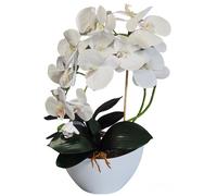 Orchidea Fiori Artificiali 2 Modelli Realistica