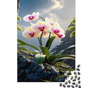 Orchidea in fiore su una roccia 1000 Pezzi Orchidea Phalaenopsis Cartone Resistente Puzzle Per Uomo E Donna, Difficile Sfida Educativa, Idea Regalo Famiglia 52x38cm/1000pcs