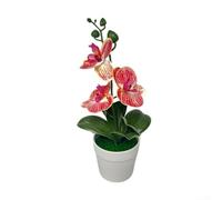 Orchidea Phalaenopsis artificiale bonsai in vaso, pianta realistica in plastica per casa, ufficio, cucina, ornamento elegante di lunga durata (strisce rosse)