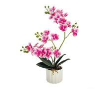 Orchidea Phalaenopsis artificiale per decorazione di interni in casa, ufficio o spazi per eventi, con petali dall'aspetto naturale e struttura in plastica robusta (F)