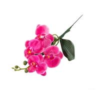 Orchidea Phalaenopsis fatta a mano a base di seta per uso decorativo dove le piante vive non sono pratiche (rosso)