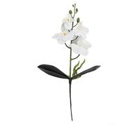 Orchidea Phalaenopsis fatta a mano a base di seta per uso decorativo dove le piante vive non sono pratiche (bianco)