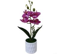 Orchidea stampata in 3D basata su botanica Phalaenopsis per accenti realistici interni senza requisiti ambientali o manutenzione continua (rosa scuro)