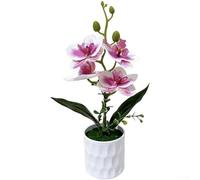 Orchidea stampata in 3D basata su botanica Phalaenopsis per accenti realistici interni senza requisiti ambientali o manutenzione continua (punto rosso bianco)