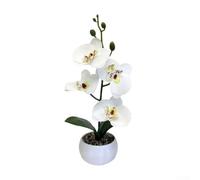 Orchidea stampata in 3D ornamento in vaso che riflette le caratteristiche Phalaenopsis per un sofisticato miglioramento dello spazio interno (bianco)