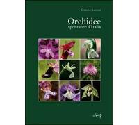 Orchidee spontanee d'Italia. Ediz. illustrata