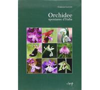 Orchidee spontanee d'Italia. Ediz. illustrata