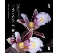 Orchidee spontanee tra Marcarolo la Val Lemme e il Piota. Ediz. illustrata