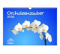 Orchideenzauber - Calendario DIN A3 per orchidee e fiori 2026, magia dell'anima
