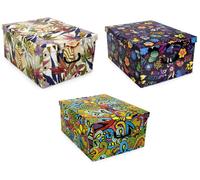 Ordinett Scatola big box fantasy 49x39x25 cm, colori assortiti Scatola big box fantasy 49x39x25 cm, colori assortiti