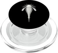 Ordoviciano Eurypterid Fossil - Scorpione marino antico PopSockets PopGrip per MagSafe