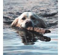 Orebolo - The Chateau