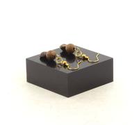 Orecchini 2 Perle Bronzite Del Brasile + Legno 8 Mm In Acciaio Fabbricato In