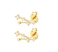 Orecchini A Bottone In Argento Sterling 925 con Segno Zodiacale Del Toro per Donna, Orecchini con 12 Costellazioni Dello Zodiaco e Zirconi Cubici, Regali per Donne, Ragazze e Figlie