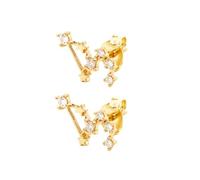 Orecchini A Bottone In Argento Sterling 925 con Simbolo Del Leone per Donna, Orecchini con 12 Costellazioni Dello Zodiaco e Zirconi Cubici, Regali per Donne, Ragazze e Figlie
