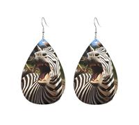 Orecchini a cerchio in acrilico per le donne orecchini pendenti oro moda boho goccia orecchini divertenti zebra ipoallergenico argento orecchini a goccia gioielli regalo San Valentino, One Size