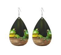 Orecchini a cerchio in acrilico per le donne orecchini pendenti oro moda boho goccia orecchini pendenti due rane verdi ipoallergenico argento orecchini a goccia gioielli regalo San Valentino, One Size