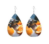 Orecchini a cerchio in acrilico per le donne orecchini pendenti oro moda boho goccia orecchini pendenti tartarughe emergenti da arance argento ipoallergenico orecchini a goccia gioielli regalo San