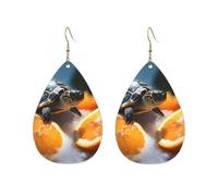 Orecchini a cerchio in acrilico per le donne orecchini pendenti oro moda boho goccia orecchini pendenti tartarughe emergenti da arance argento ipoallergenico orecchini a goccia gioielli regalo San