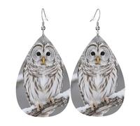 Orecchini a goccia in pelle per donne, curioso gufo sbarrato primo piano orecchini pendenti leggeri gioielli alla moda regali per donne signore