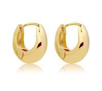 Orecchini a Oerchio in Argento 925 Orecchini Cerchio Piccoli Orecchini da donna, 14K Placcato Oro Huggie, Orecchini Cerchio Donna Spessi, ipoallergenici, regalo di gioielli minimalista
