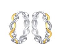 Orecchini a spirale in argento, design creativo, per mostrare personalità e temperamento, perfetti per occasioni casual e formali, eleganti accessori per colomba, Taglia unica, lega di zinco, Nessuna