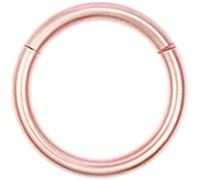 -Orecchini alla moda e vintage per le donne Anello al naso in acciaio inossidabile Orecchio al labbro Cartilagine Piercing per il corpo Setto Cerchio Gioielli - Oro rosa 1.2X1Trattamento seducente