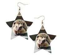 Orecchini alla moda in pelle a forma di stella, perfetti per decorazioni per feste o regali. Simpatico riccio bianco, One Size, Cloruro di polivinile rame argento, Nessuna pietra preziosa