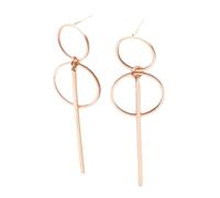 Orecchini di moda Punk Simple Gold Silver Color Orecchini a cerchio con dimensioni del pendente della nappa a sezione lunga per i regali delle signore all'ingrossoIntelligente e attraente.