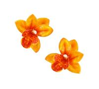 Orecchini floreali da donna, delicati sulla pelle, leggeri, per le vacanze, idea regalo, orecchini a forma di fiore per le donne, One Size, come descritto, come descritto
