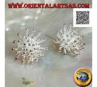 Orecchini in Argento 925‰ da lobo satinati a forma di anemone di mare (piccola)