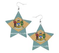Orecchini in pelle a forma di stella con bandiera del Delaware, accessori alla moda, leggeri, per festival, feste, vita quotidiana, One Size, Pelle, Non pietra preziosa