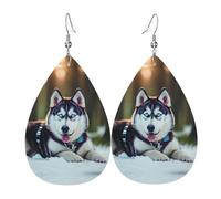 Orecchini in pelle con stampa formula matematica, orecchini pendenti, gioielli leggeri a goccia, pendenti per feste in costume, Misura unica, Pelle