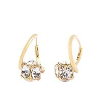 Orecchini MagneTherapy Germanium, Orecchini Per Il Drenaggio Linfatico, Favoriscono Il Drenaggio Linfatico, Agopuntura, Aiutano Le Donne A Perdere Peso (B)