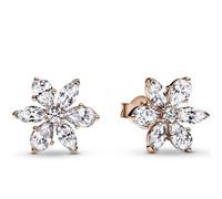 Orecchini Pandora Timeless 282407C01