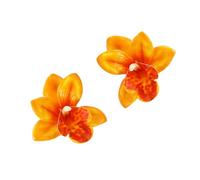 Orecchini pendenti floreali da donna, delicati sulla pelle, leggeri, ideali come regalo, leggeri, per pelli sensibili, フリーサイズ