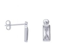 Orecchini pendenti in argento TS-EA-0261