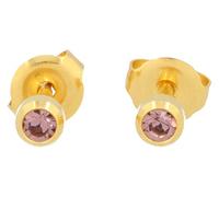 Orecchini(primo), acciaio chirurgico, sterile, orecchini con pietra (lilla placcato oro)