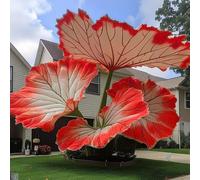 Orecchino a elefante invernale, multicolore, ideale come idea regalo perfetta, multicolore, grande formato, 10 cipolle