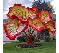 Orecchino a forma di elefante invernale, multicolore, ideale come idea regalo, multicolore di grandi dimensioni, 15 cipolle