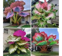 Orecchino a forma di elefante invernale, multicolore, ideale come idea regalo, multicolore di grandi dimensioni, 15 cipolle